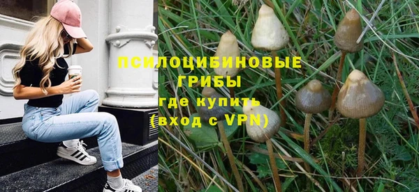 таблы Алексин